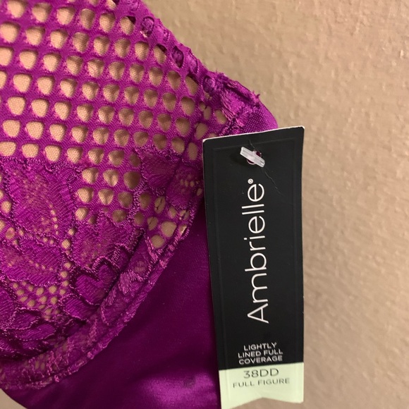Ambrielle Full Figure Bra - Picture 4 of 6